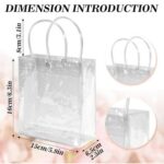 Clear Tote Bag Clear Bag with Piping